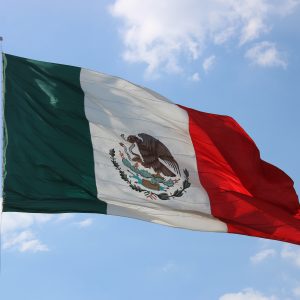 Foto de Hugo Entrepreneur1: https://www.pexels.com/es-es/foto/bandera-de-mexico-3800834/